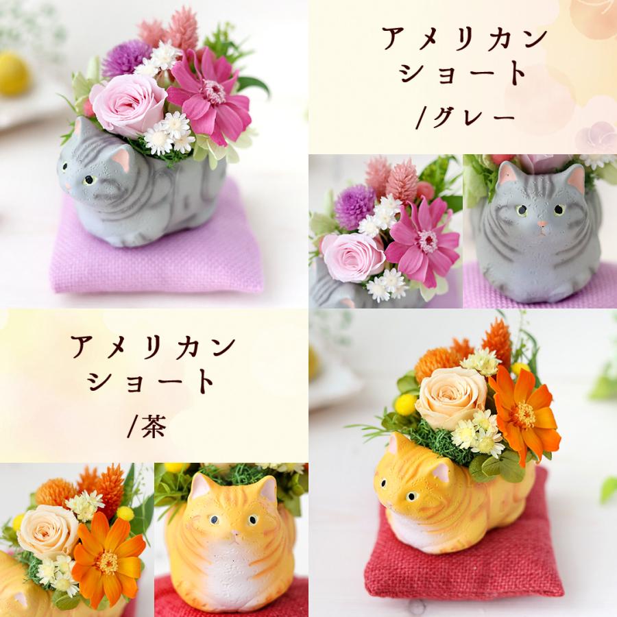 フラワーマーケット花由 プリザーブドフラワー 和風 くつろぎねこ 7