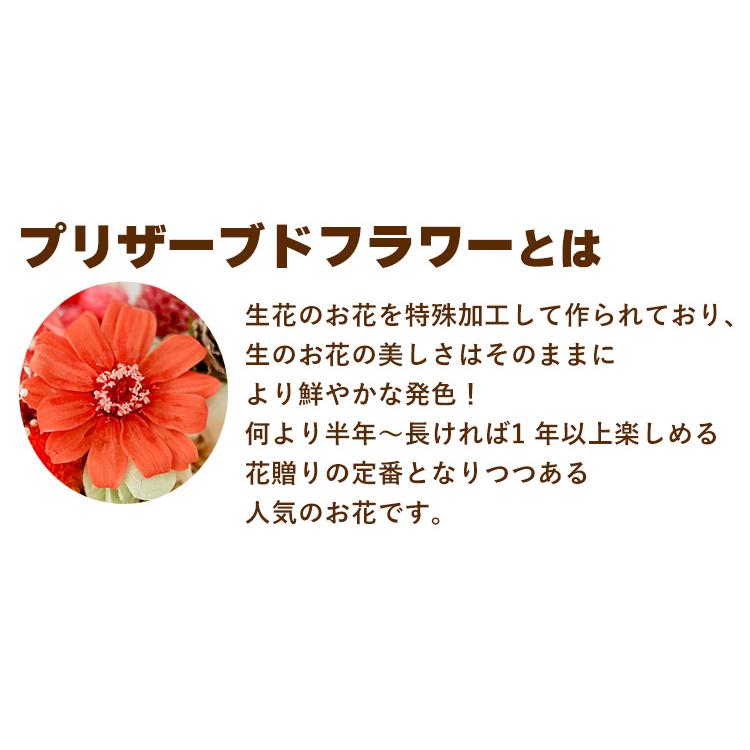 プリザーブドフラワー お散歩アニマル 6種類 猫 お祝い お花 還暦祝い 定年 退職祝い 花 誕生日 プレゼント 女性 母 祖母 おばあちゃん 猫好き｜hanayoshi-y｜03