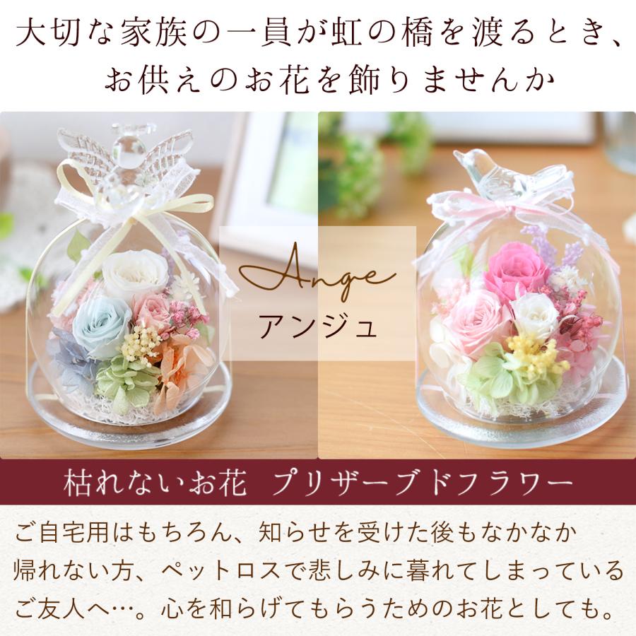 フラワーマーケット花由 プリザーブドフラワー 天使のガラスドーム