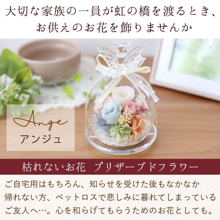 フラワーマーケット花由 プリザーブドフラワー 天使のガラスドーム