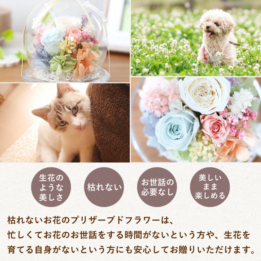 フラワーマーケット花由 プリザーブドフラワー 天使のガラスドーム