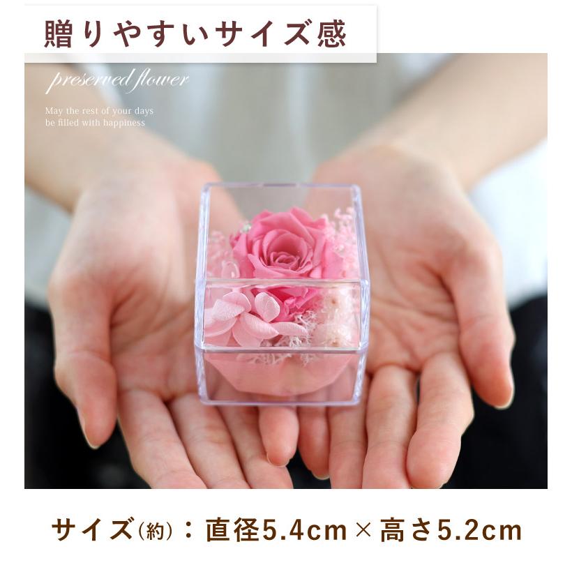 フラワーマーケット花由 同梱OK 推し活 推しカラー ライン フラワーマーケット花由 同梱OK 推し活 推しカラー ライン