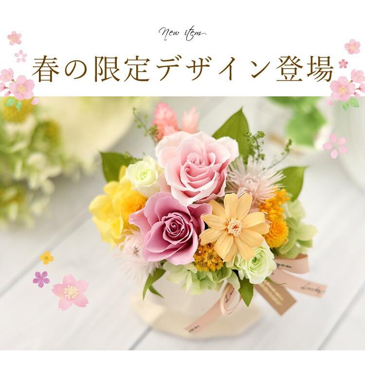 プリザーブドフラワー花材セット【お買い得品】【期間限定】 フラワーマーケット花由 プリザーブドフラワー Colore コローレ ケース