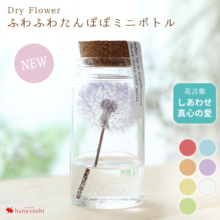 ドライフラワー ふわふわたんぽぽミニボトル 枯れないお花 コルクボトル たんぽぽ 綿毛 3個以上で送料無料＜1配送先に限る＞ 花 女性 ギフト 誕生日 20代 30代（Yahoo!・フラワーマーケット花由）