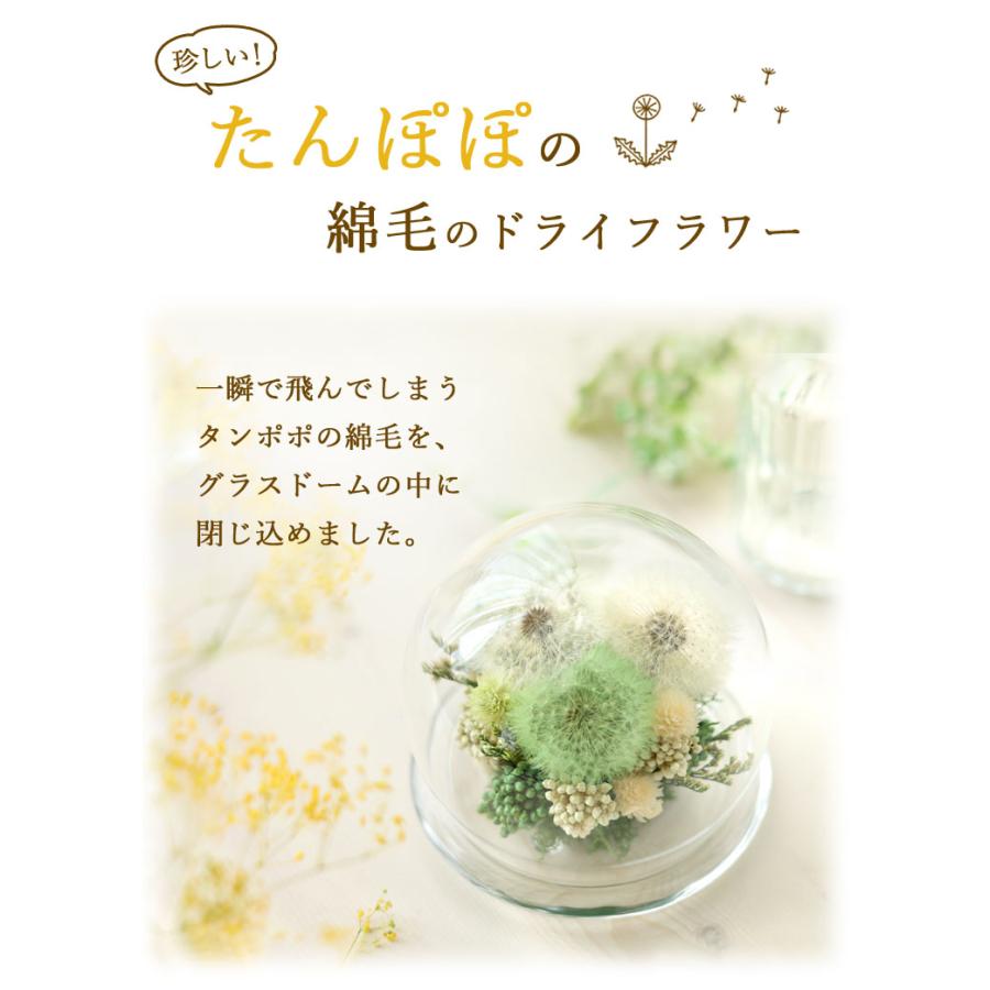 フラワーマーケット花由 プリザーブドフラワー ドライフラワー フラワーマーケット花由 プリザーブドフラワー ドライフラワー