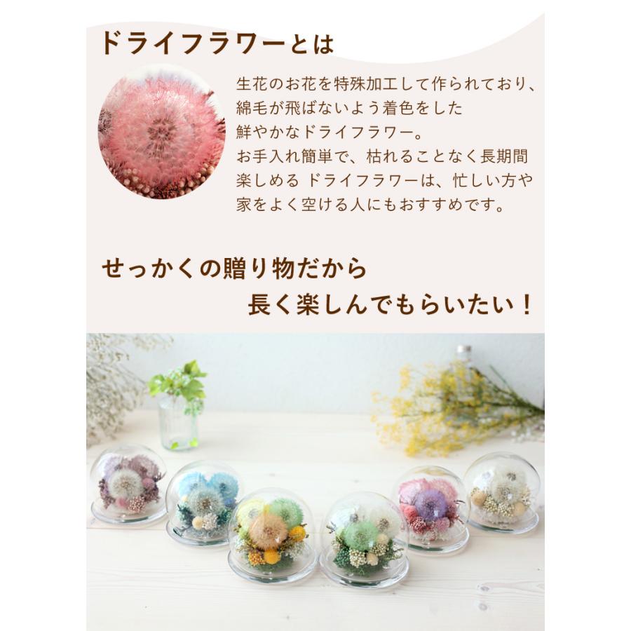 フラワーマーケット花由 プリザーブドフラワー ドライフラワー フラワーマーケット花由 プリザーブドフラワー ドライフラワー