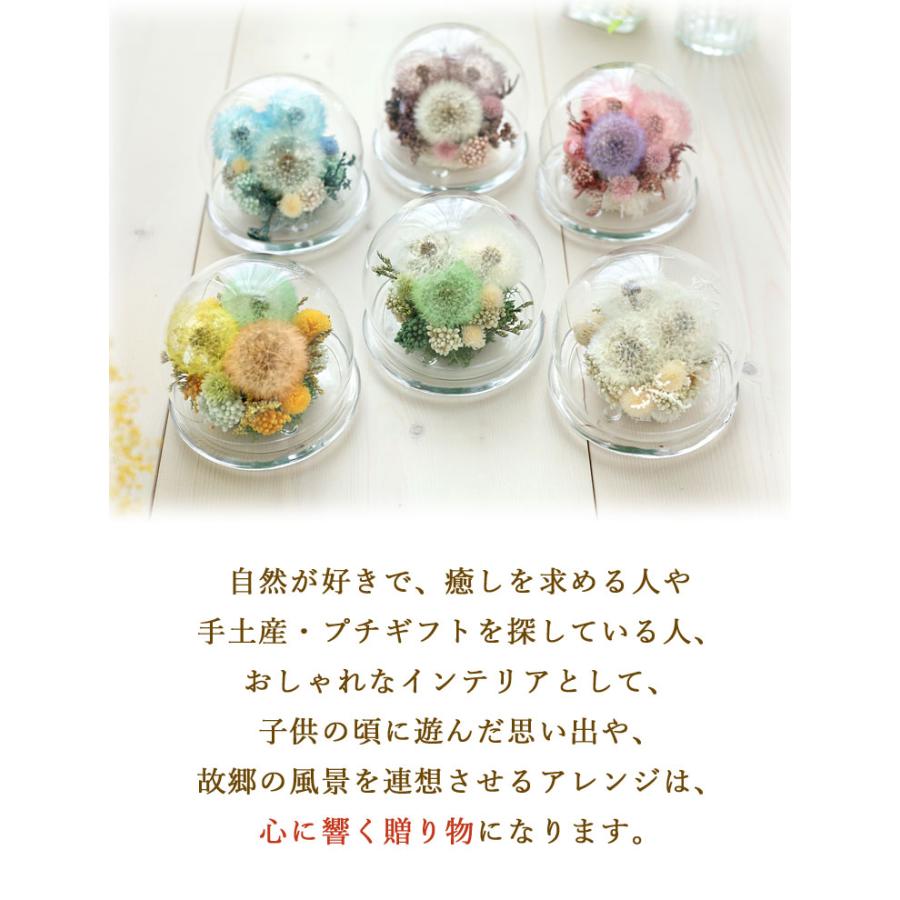 フラワーマーケット花由 プリザーブドフラワー ドライフラワー フラワーマーケット花由 プリザーブドフラワー ドライフラワー