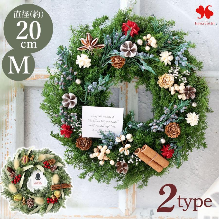 森のリース ＊森の贈り物＊ 直径約20cm ドライ ナチュラル 2種類 天然