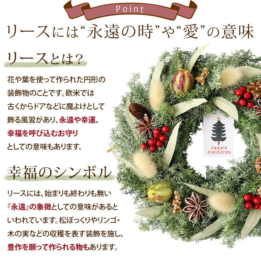 森のリース ＊森の贈り物＊ 直径約20cm ドライ ナチュラル 2種類 天然