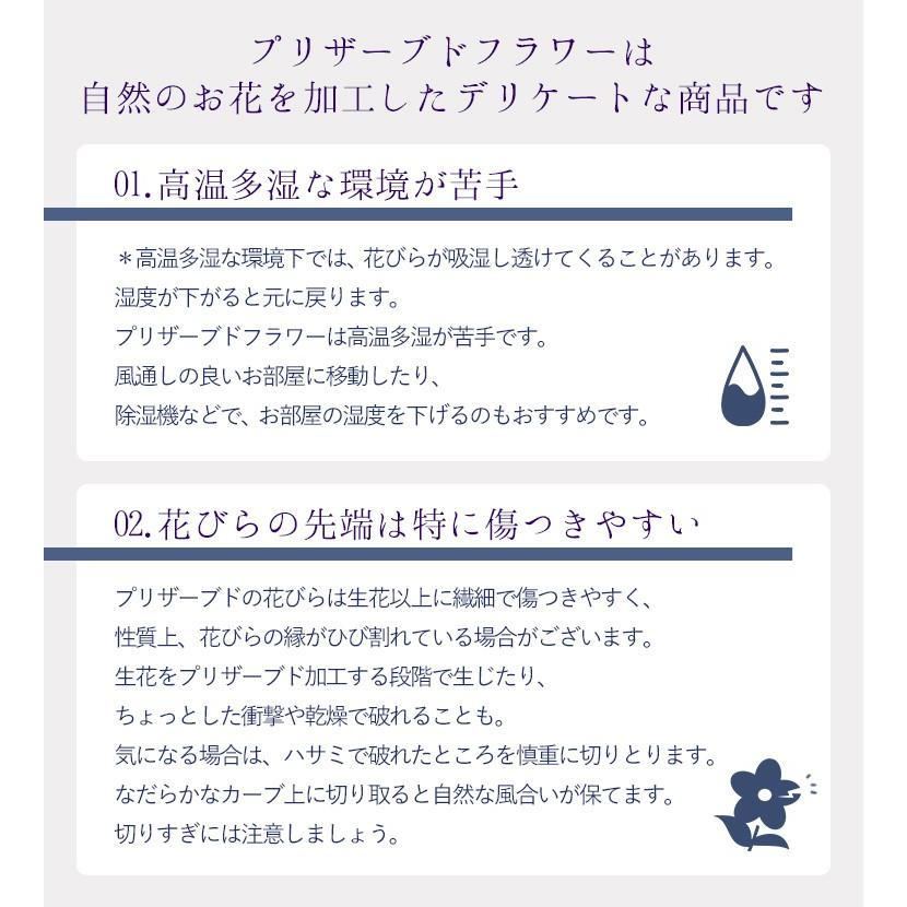 仏花 お供え お悔やみ ガラスボトル 線香 和遊とお供えプリザーブドフラワー in ミニボトル セット お49日 お供え物 法事 命日 一周忌 ブリザード | フラワーマーケット花由 | 20