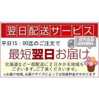 ハート胡蝶蘭 シングル 白orピンク / ミニ胡蝶蘭 ミディ 開店 誕生日 プレゼント ギフト  おしゃれ バレンタインの画像
