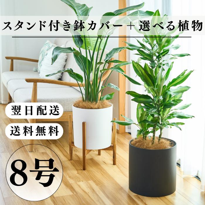 スタンド付き鉢カバー 8号 選べる観葉植物 おしゃれな鉢カバー 植木鉢
