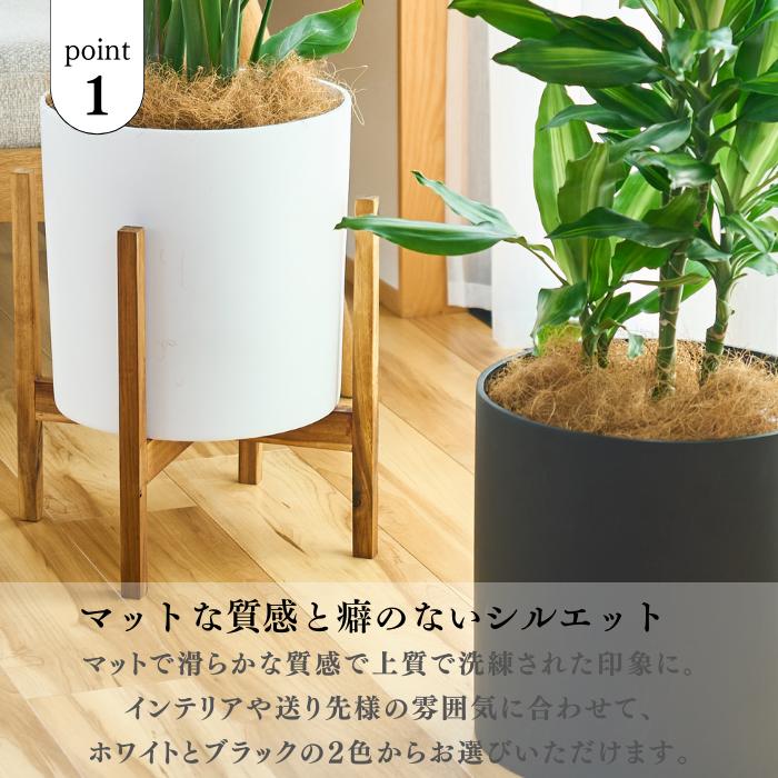 スタンド付き鉢カバー 8号 選べる観葉植物 おしゃれな鉢カバー 植木鉢