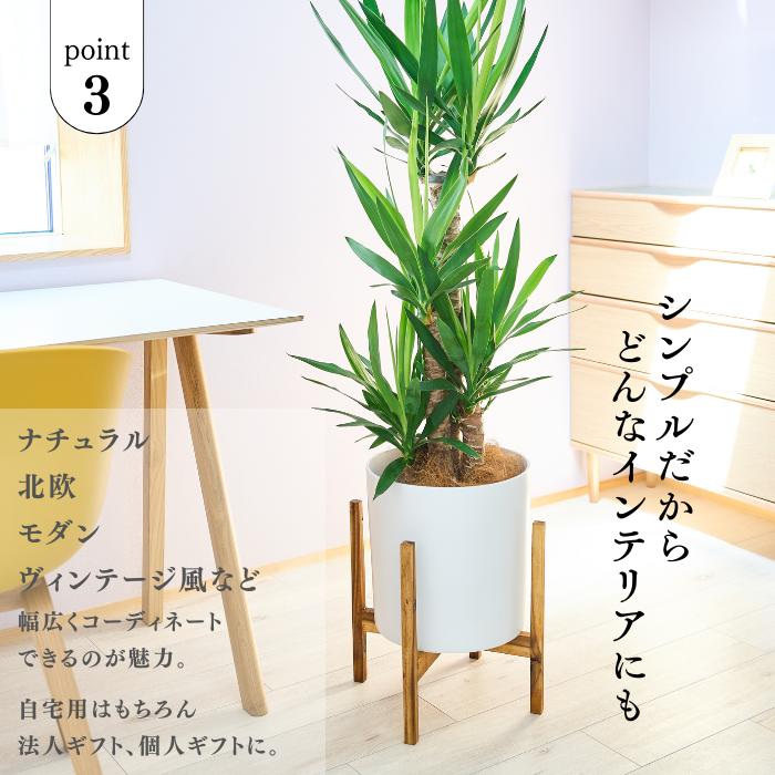 鉢カバー　オシャレ　スタンド付き スタンド付き鉢カバー 8号 選べる観葉植物 おしゃれな鉢カバー 植木鉢