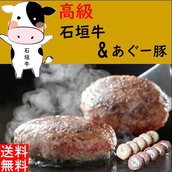 売れ筋 入学祝い 卒業 ギフト 化粧箱 石垣牛 あぐー豚 送料無料 おすすめ 石垣牛 あぐー豚ハンバーグセット100g 10個 化粧箱入り 絶対一番安い Zoetalentsolutions Com