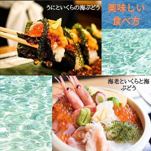 期間限定特価品 送料無料 海ぶどう 沖縄県産 専用タレ付き A級品大粒 海洋深層水で育てた 高品質 ポイント消化 食品 おすすめ Samedicalwebsitedesign Co Za
