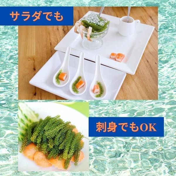 期間限定特価品 送料無料 海ぶどう 沖縄県産 専用タレ付き A級品大粒 海洋深層水で育てた 高品質 ポイント消化 食品 おすすめ Samedicalwebsitedesign Co Za