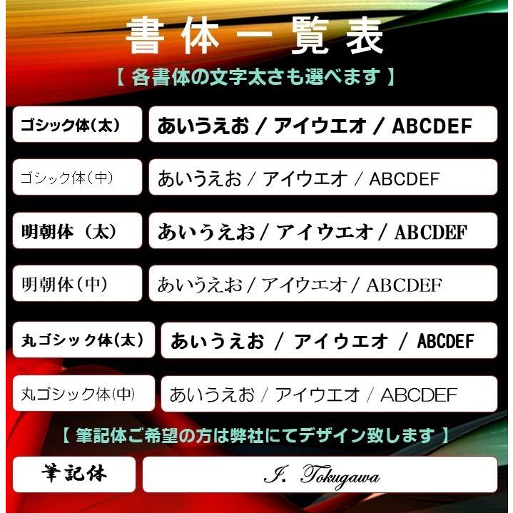 20本〜 カラフルラバーボールペン フルカラー名入れ 名入れボールペン 小ロットOK ノベルティ 販促品 記念品 安い 粗品 企業向け 展示会用 景品 大量発注OK｜hanco-style｜05