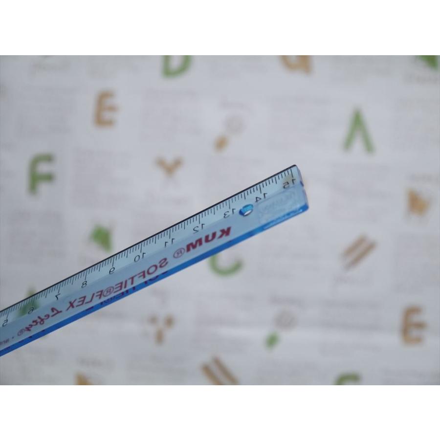 左利き用　プラスチック定規 クリア １５ｃｍ |  | 02