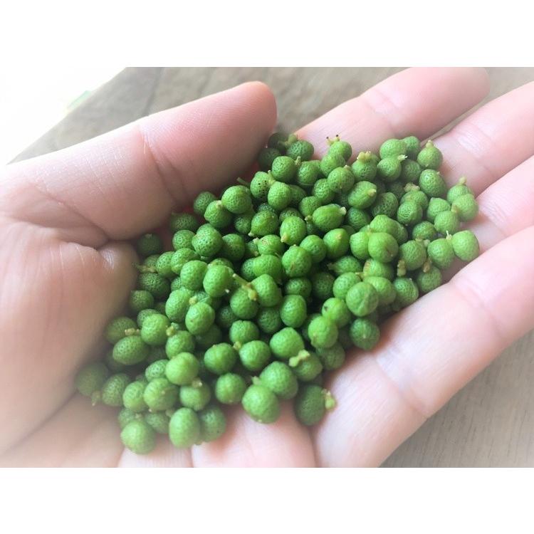 半田の旨味家 悪魔のしびれ 花椒麻辣醤 ホワジャオ マーラージャン 化学調味料無添加 四川省 金の太陽花椒 超特選たまり醤油使用 200ml×お得用4本セット |  | 04