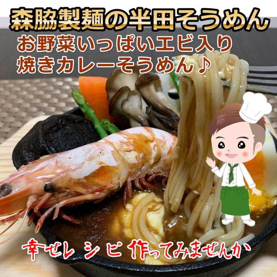 送料無料 半田 そうめん 1.2kg ３袋入り レターパックライト そうめん  ポイント消化 冷や麦 素麺 手延べふとめん お試し通販 お取り寄せ 一人暮らしに｜handasomen｜11