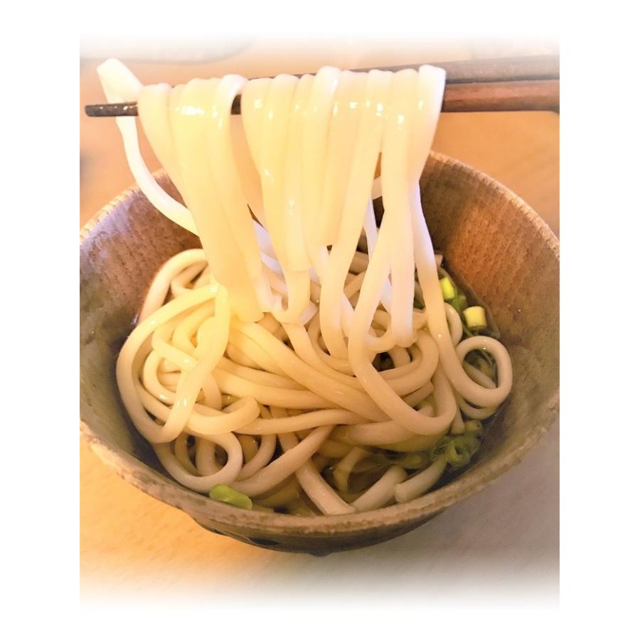半田うどん0ｇ 袋詰め 手延べ饂飩 半田乃麺 乾麺 徳島うどん 送料込 H 40 半田そうめんの森脇製麺所 通販 Yahoo ショッピング