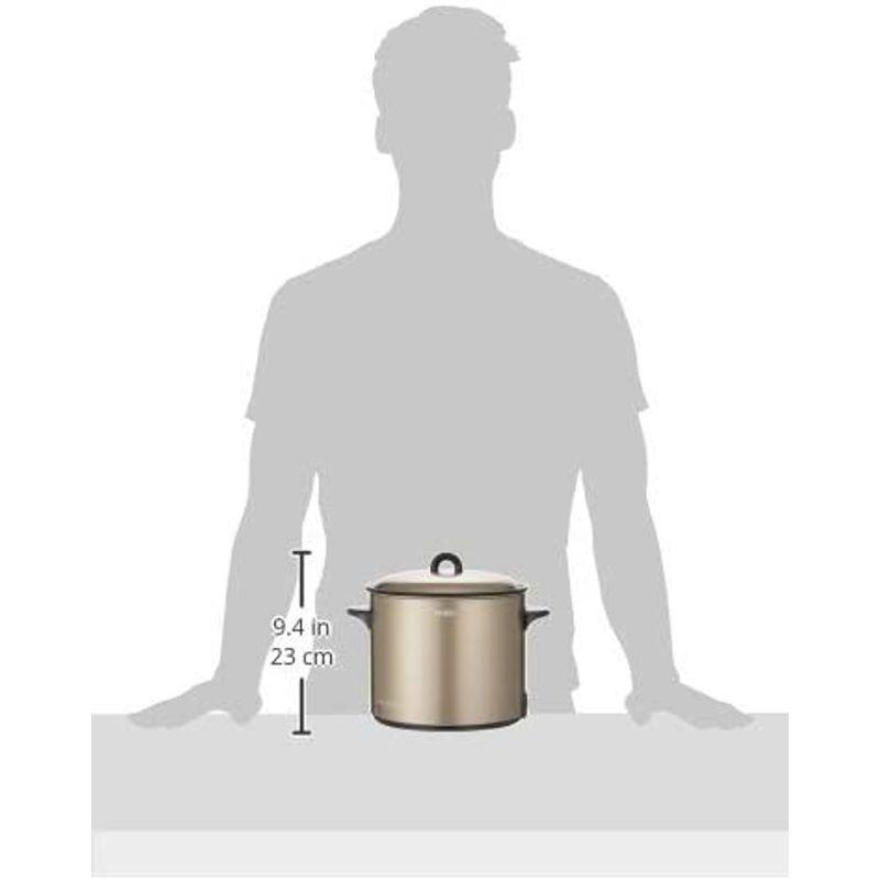 タイガー 電気フライヤー「はやあげ」CFE-A100-T 電気フライヤー はやあげ CFE A100 約