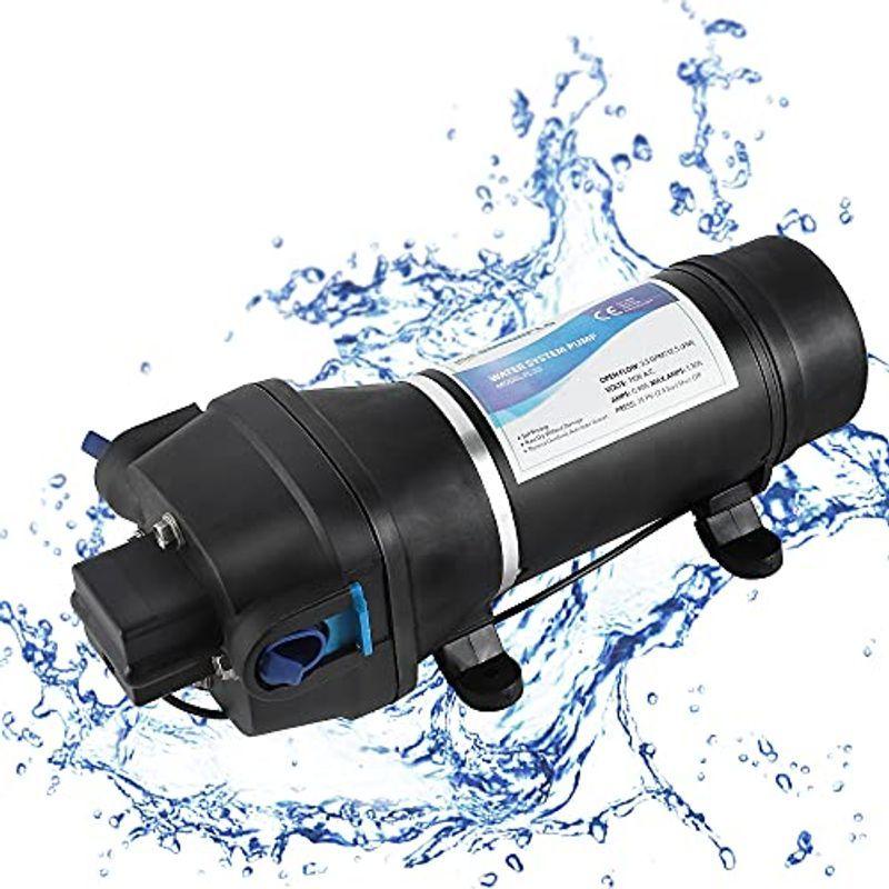 NEWTRY ダイヤフラム水ポンプ 給水 排水ポンプ 家庭用水ポンプ 圧力スイッチ 自吸式ポンプ ミニチュア 12.5L min (110V