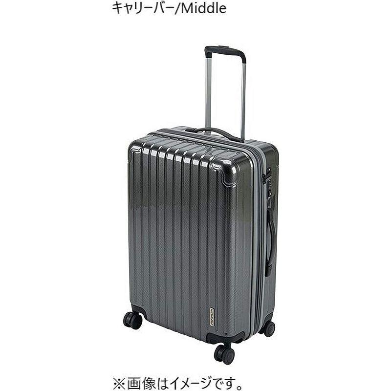 キャプテンスタッグ(CAPTAIN STAG) スーツケース キャリーケース キャリーバッグ 超軽量 TSAロック ダブルホイール 360度 約 CAPTAIN STAG スーツケース キャリーケース キャリーバッグ 超軽量 TSAロック ダブルホイール 360度