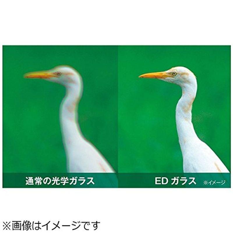 ケンコー・トキナー アバンター 8倍×25mmED双眼鏡 AVT-0825ED トキナー アバンター 8倍×25mmED双眼鏡 AVT 0825ED