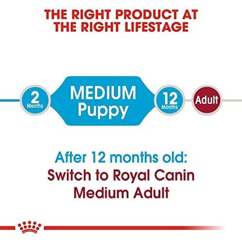 ロイヤルカナン SHN ミディアム ジュニア 犬用 10kg SHN ミディアム ジュニア 犬用 10kg