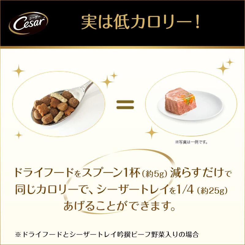 シーザー ドッグフード 14歳からの 絹ささみ 野菜・玄米入り シニア犬用 100g×96個 (ケース販売) ドッグフード 14歳からの 絹ささみ 野菜 玄米入り シニア犬用 100g×96個 ケース販売