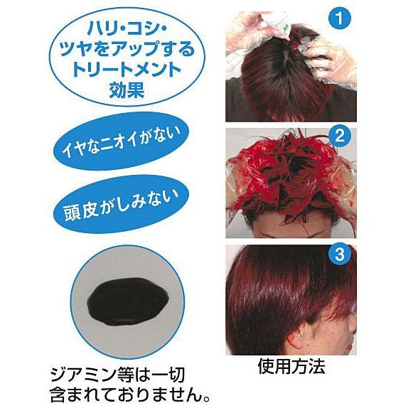 【送料無料】　ヘアカラークリームＪ （染毛料） 選り取り３本セット |  | 04