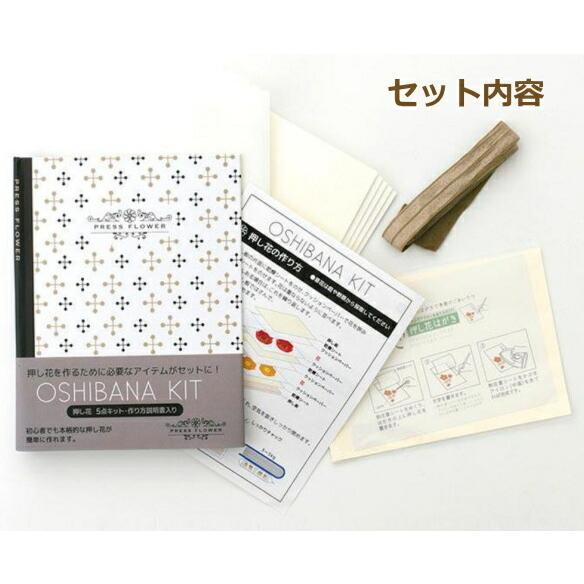 押し花 OSHIBANA KIT 10-3087 押し花作成キット BOOK型 東京交易