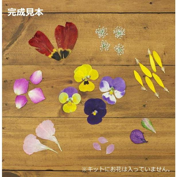 押し花  OSHIBANA KIT 10-3087 押し花作成キット BOOK型 東京交易  1F在｜handcraft｜03