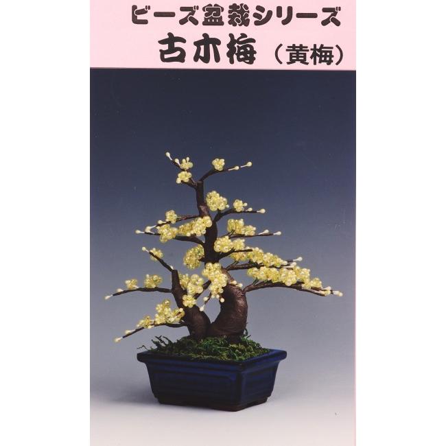 梅　盆栽　７号　古木❗　ひ 梅(八重) 1点もの No.360の盆栽を販売｜通信教育の盆栽妙 – 盆栽妙 本店