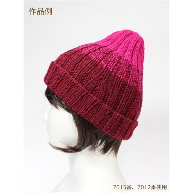 skiyarn スキー タスマニアンポロワース 秋冬毛糸 元廣 爆買 : 手芸の