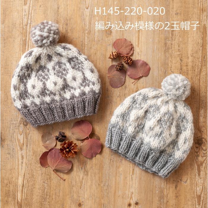 ハマナカ 編み図付きキット 編み込み模様の2玉帽子 H145-220-020