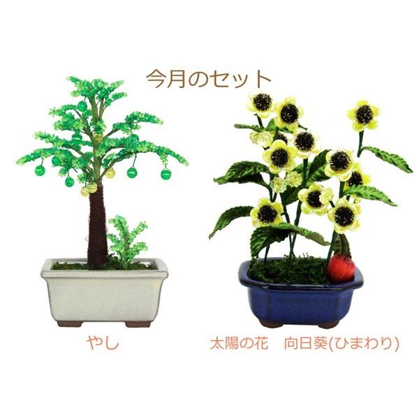 盆栽 ミニ 毎月おすすめビーズ盆栽セット 山久オリジナル Maitsuki Bonsai Set 手芸の山久ヤフー店 通販 Yahoo ショッピング