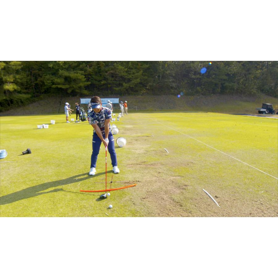 elite grips エリートグリップ アイプレーンプロ ゴルフ elite grips エリートグリップ アイプレーンプロ ゴルフ