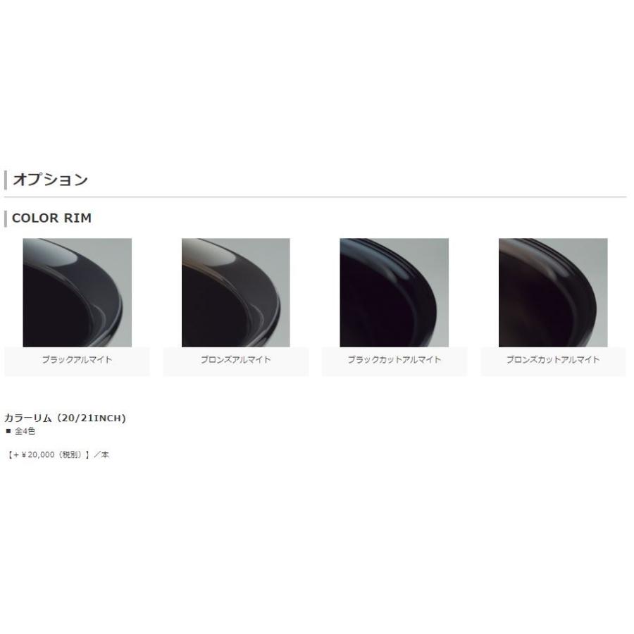 Amistad REIHEN S05 20in 11.0J Wdisk コンポジットバフブラッシュド アミスタット ライエン S05