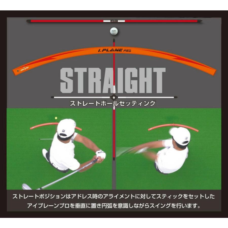 elite grips（エリートグリップ） アイプレーンプロ 送料無料 ゴルフ