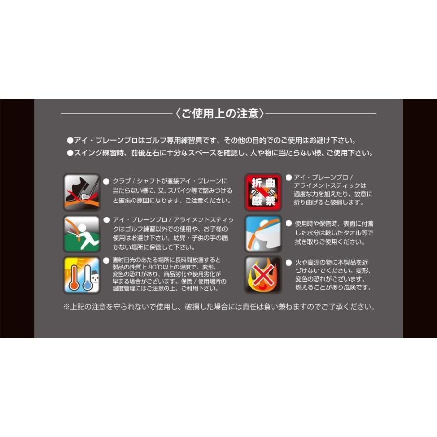 elite grips（エリートグリップ） アイプレーンプロ 送料無料 ゴルフ