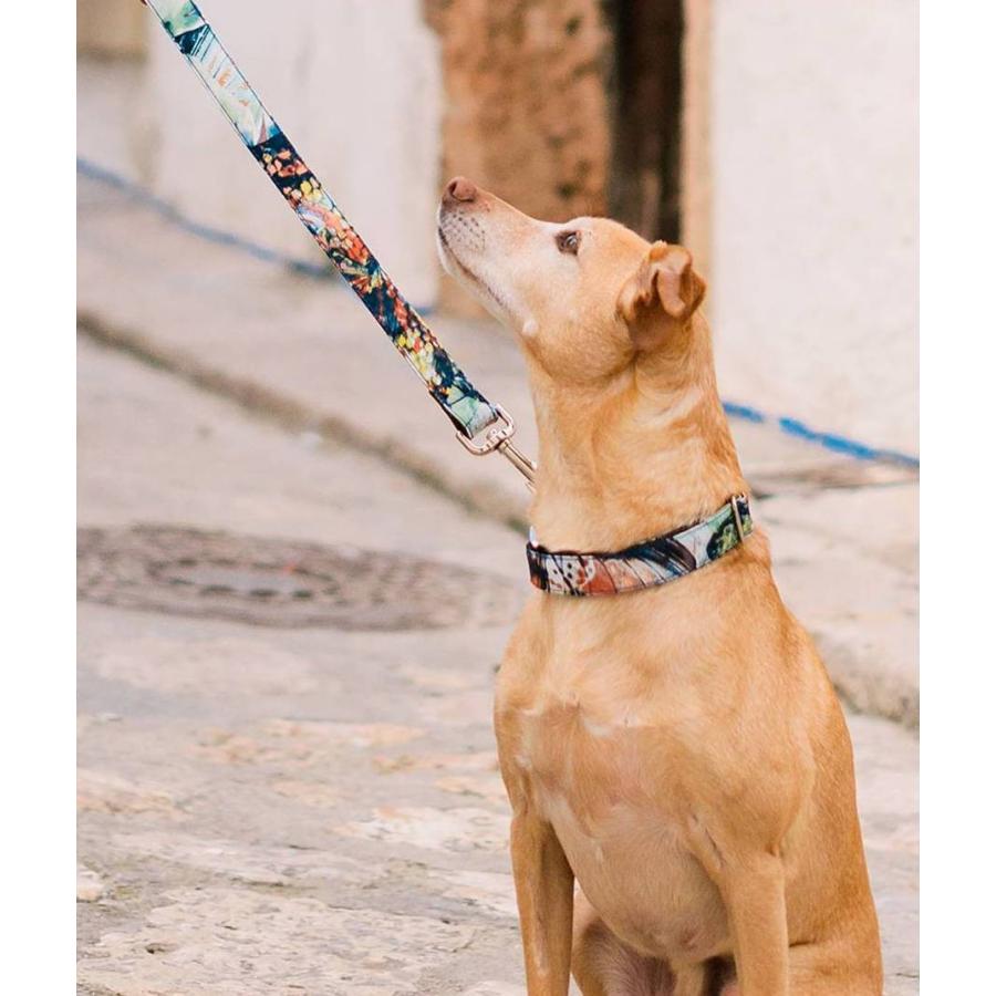 スペイン産 ハンドメイド Brott リード 犬 日本初上陸 おしゃれ デザイン リーシュ Dog Leash お揃い Brottleash12 海外輸入犬グッズ専門店ハンデル 通販 Yahoo ショッピング