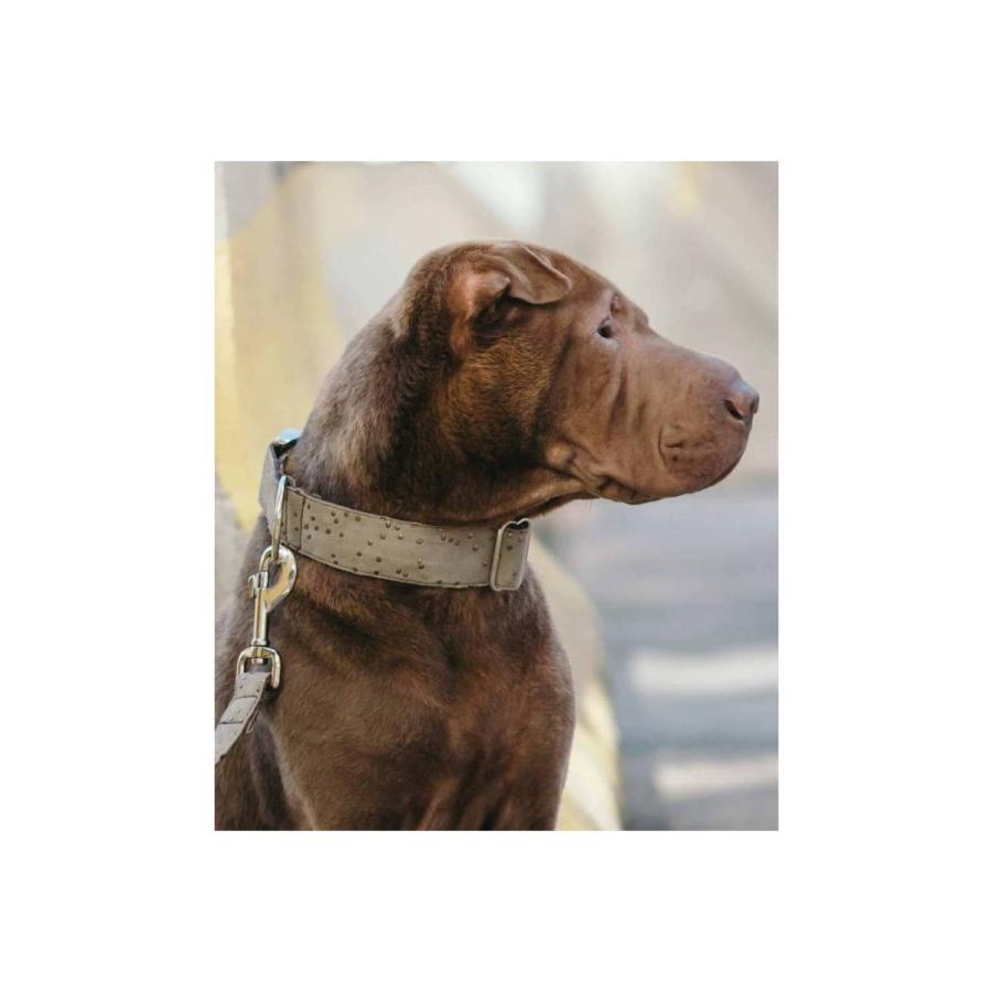 S Mサイズ 小型犬 大型犬 リード スペイン産 ハンドメイド Brott 日本初上陸 おしゃれ デザイン Dog Leash お揃い Brottleash12 海外輸入犬グッズ専門店ハンデル 通販 Yahoo ショッピング