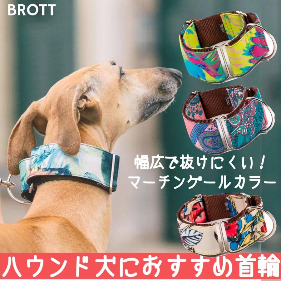 Mggサイズ 大型犬 Brott 幅広首輪 グレーハウンド ハウンド犬種 マーチンゲールカラー デザイン スペイン Dog Collar Mgg 5collar 海外輸入犬グッズ専門店ハンデル 通販 Yahoo ショッピング