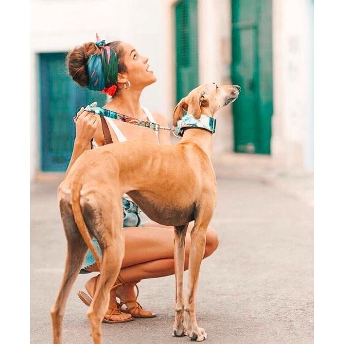 Mggサイズ 大型犬 Brott 幅広首輪 グレーハウンド ハウンド犬種 マーチンゲールカラー デザイン スペイン Dog Collar Mgg 5collar 海外輸入犬グッズ専門店ハンデル 通販 Yahoo ショッピング