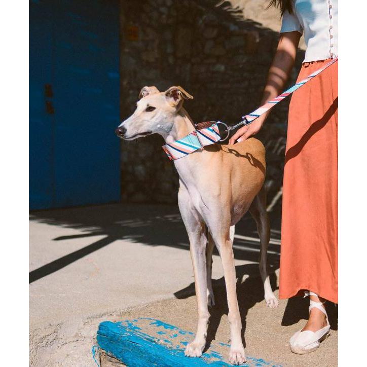 小型犬 中型犬向きサイズ Brott 幅広首輪 グレーハウンド マーチンゲールカラー Dog Collar Morisca ストライプ Morisca 海外輸入犬グッズ専門店ハンデル 通販 Yahoo ショッピング