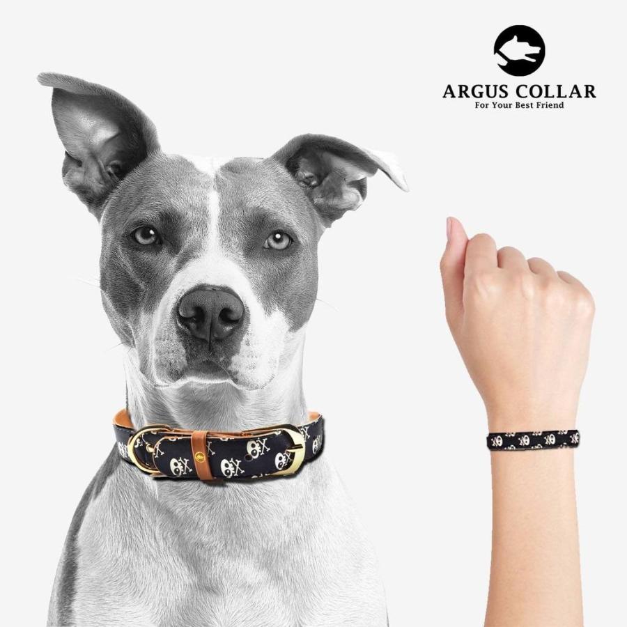ギリシャ発ブランド Argus Collar 犬の首輪 飼い主様のブレスレットセット お揃いアイテム ペア 日本初上陸 スカル ボーン柄 Skullbones 海外輸入犬グッズ専門店ハンデル 通販 Yahoo ショッピング