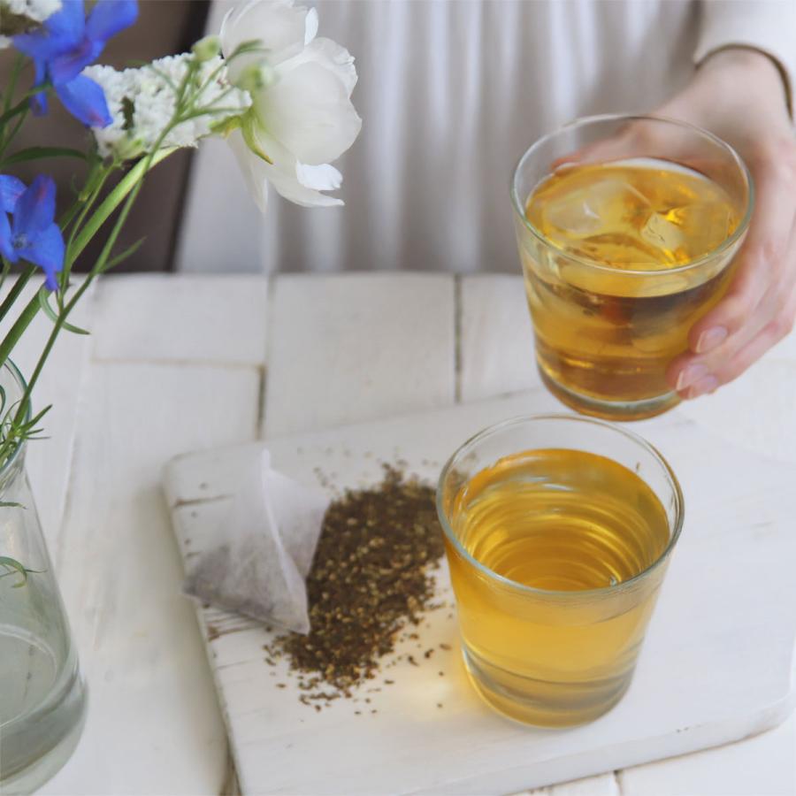 H＆F BELX グリーンルイボスティー 2.5g×20包 | 有機 オーガニック